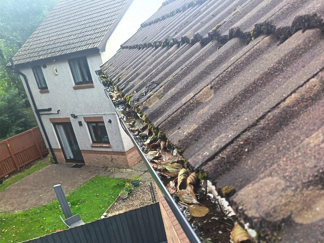 Blocked gutter with leaves and debris before gutter cleaning
