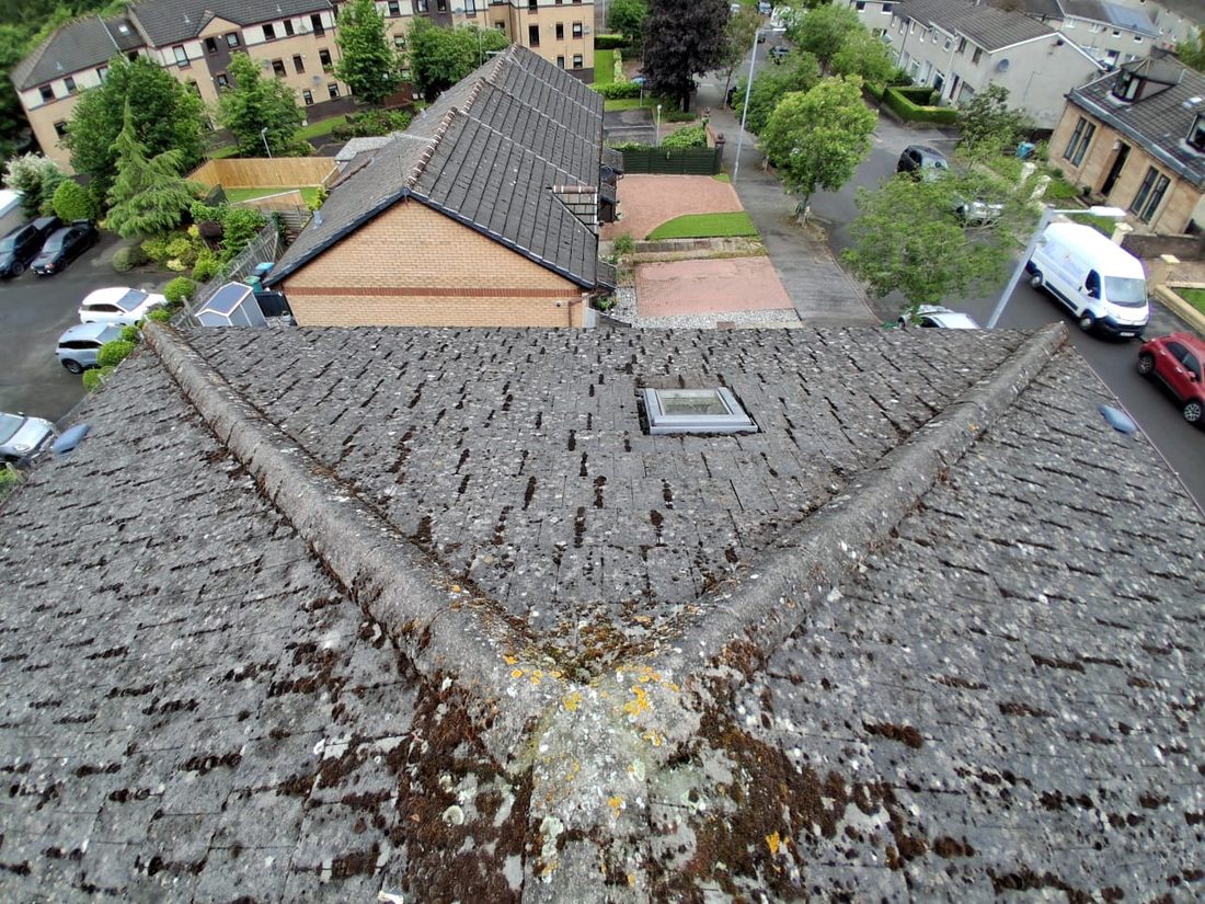 Valley roof before cleaning, thick moss and lichen