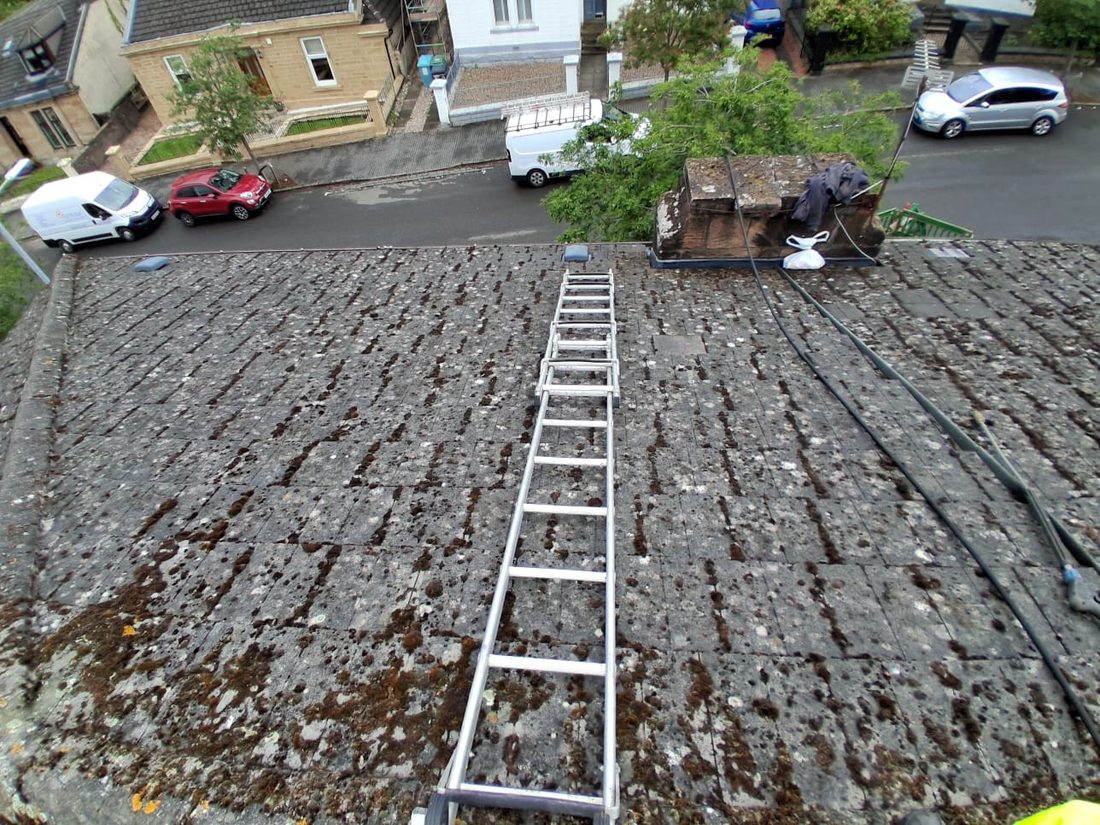 Roof before cleaning, covered in moss and lichen
